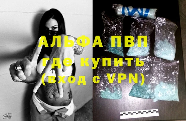 стаф Богородск