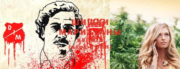 mdma Богданович
