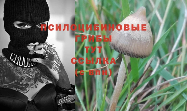 меф Богородицк